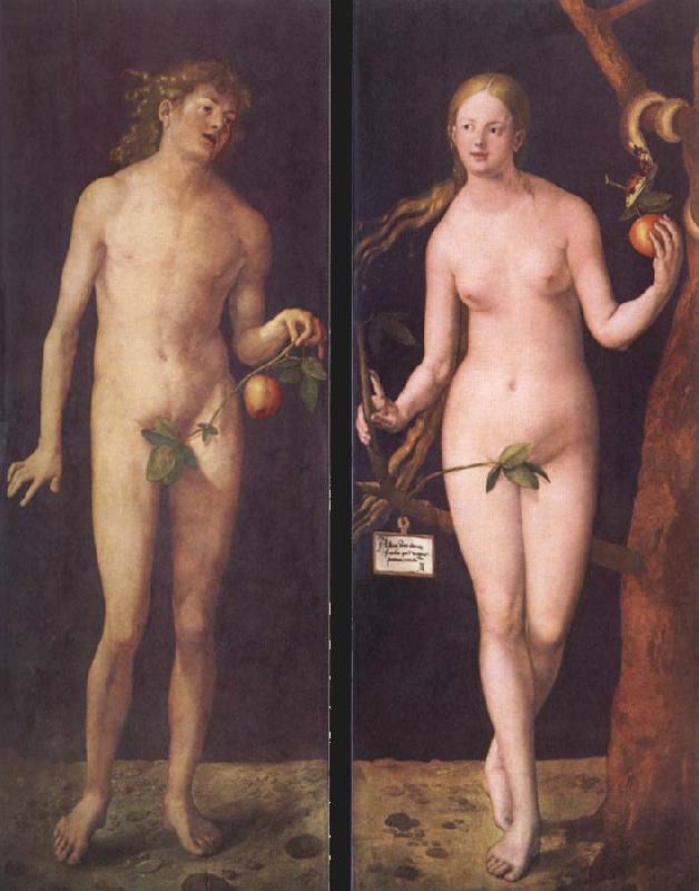 Albrecht Durer Adam and Eve oil painting picture
